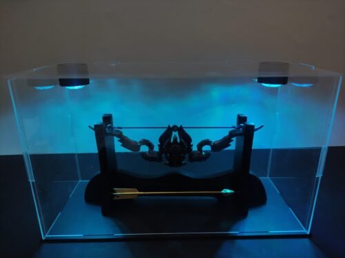 Arco Thori’dal, La furia de las estrellas- World of Warcraft